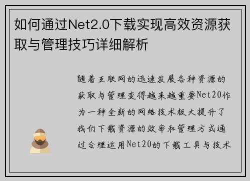 如何通过Net2.0下载实现高效资源获取与管理技巧详细解析